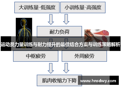 运动员力量训练与耐力提升的最佳结合方案与训练策略解析